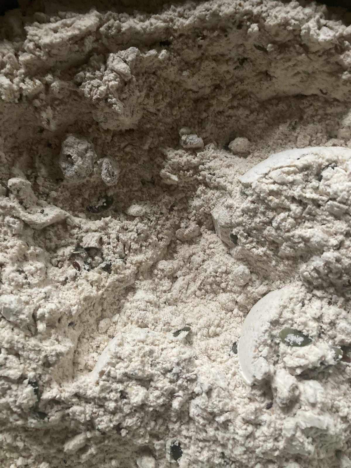 Food-Grade Diatomaceous Earth: What the Science Actually Supports